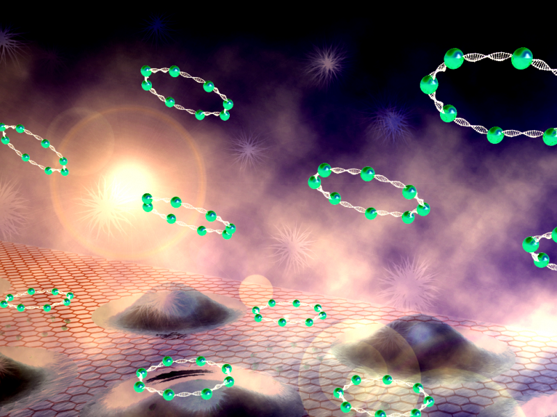 Laboratory of Nucleic Acid Therapeutics