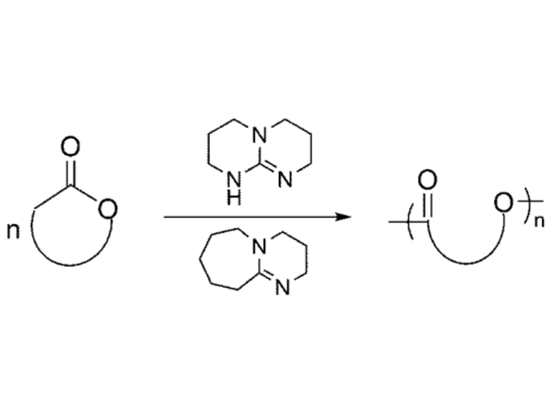 Wykład – prof. Olivier Coulembier