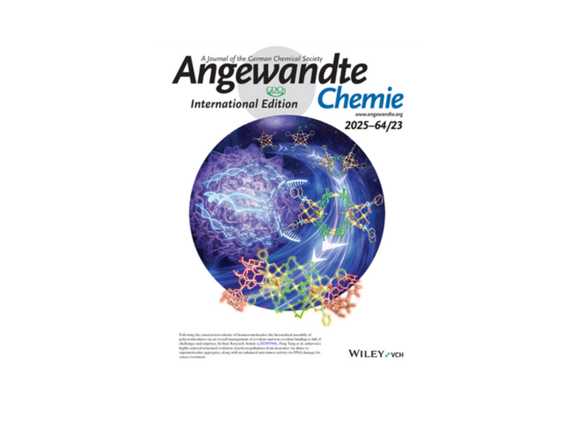 CBMiM PAN w Angewandte Chemie International Edition