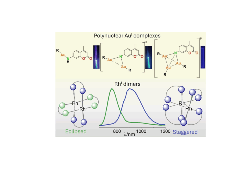 Wykład Dr Vanitha R. Naina z University of Basel, Basel, Switzerland