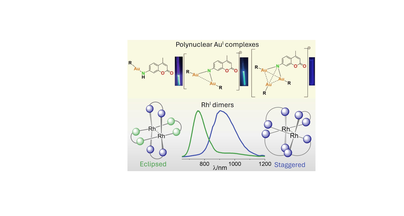Wykład Dr Vanitha R. Naina z University of Basel, Basel, Switzerland